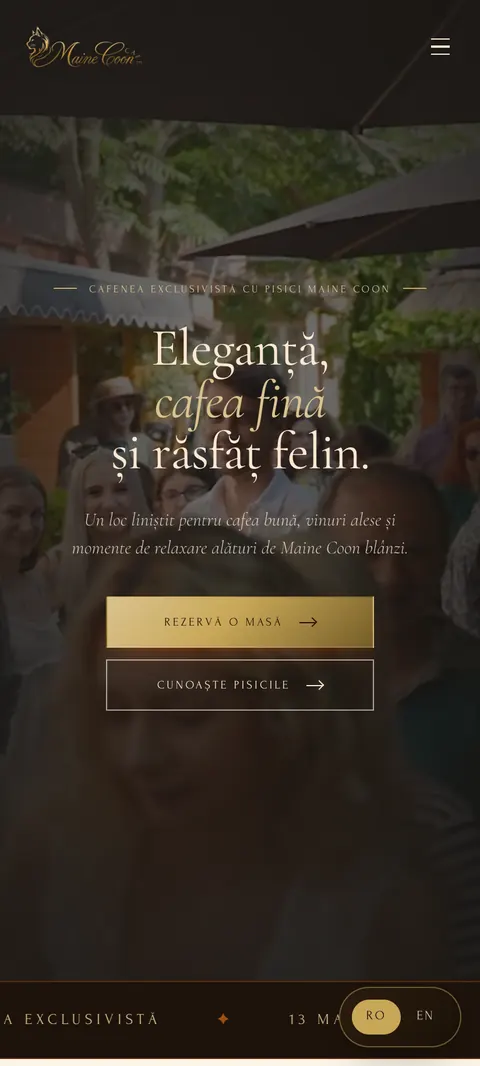 Maine Coon Cafe pe telefon